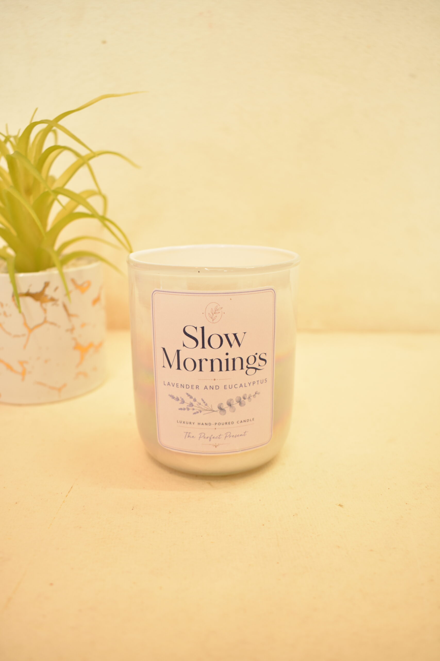 Slow Morning